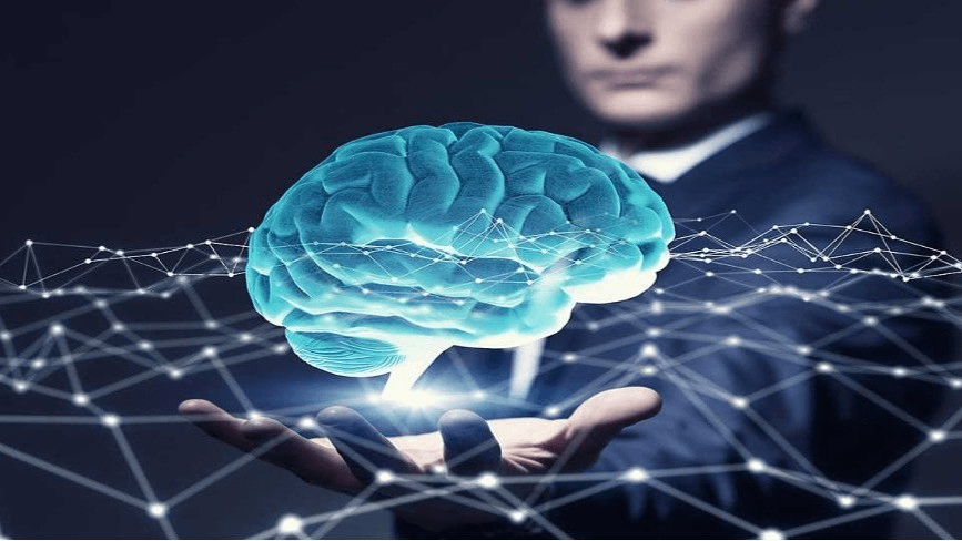 The Human Factor of Quantum: Understanding the Role of People in Quantum Security